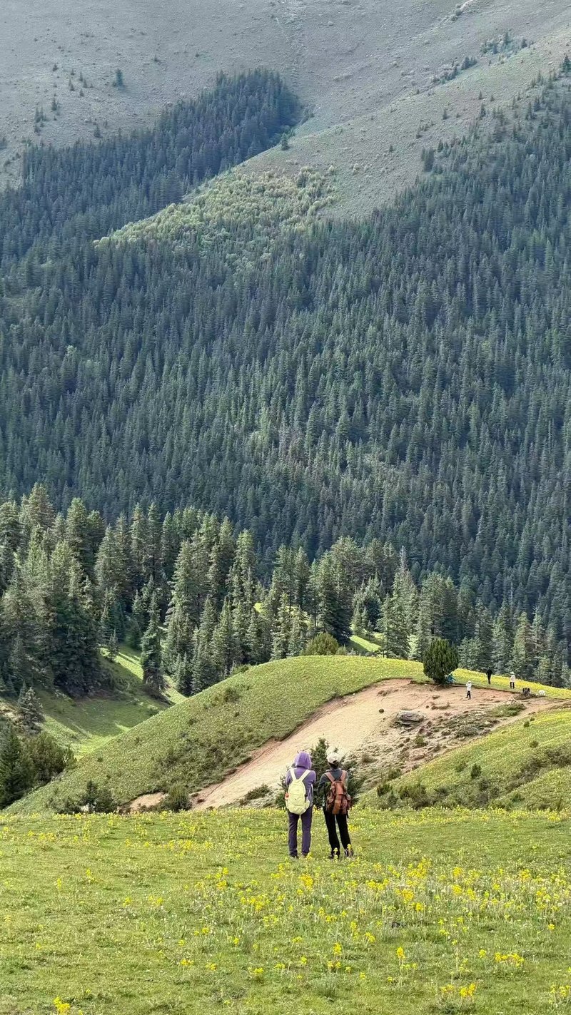 Two hikers in forested mountain valley at Genyen Sacred Mountain on a sunny day