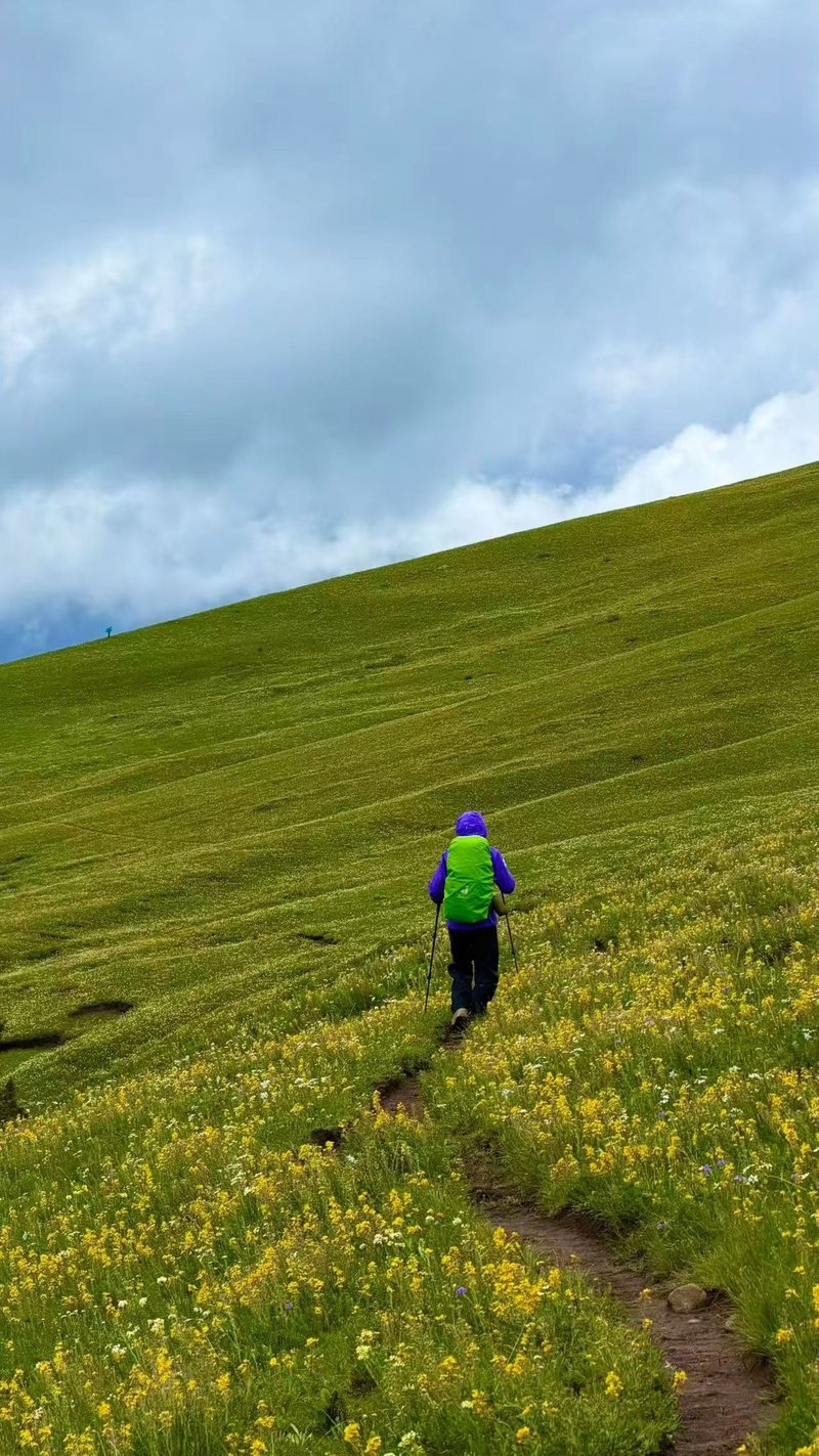 Hiker ascending alpine meadow with wildflowers at Genyen Sacred Mountain