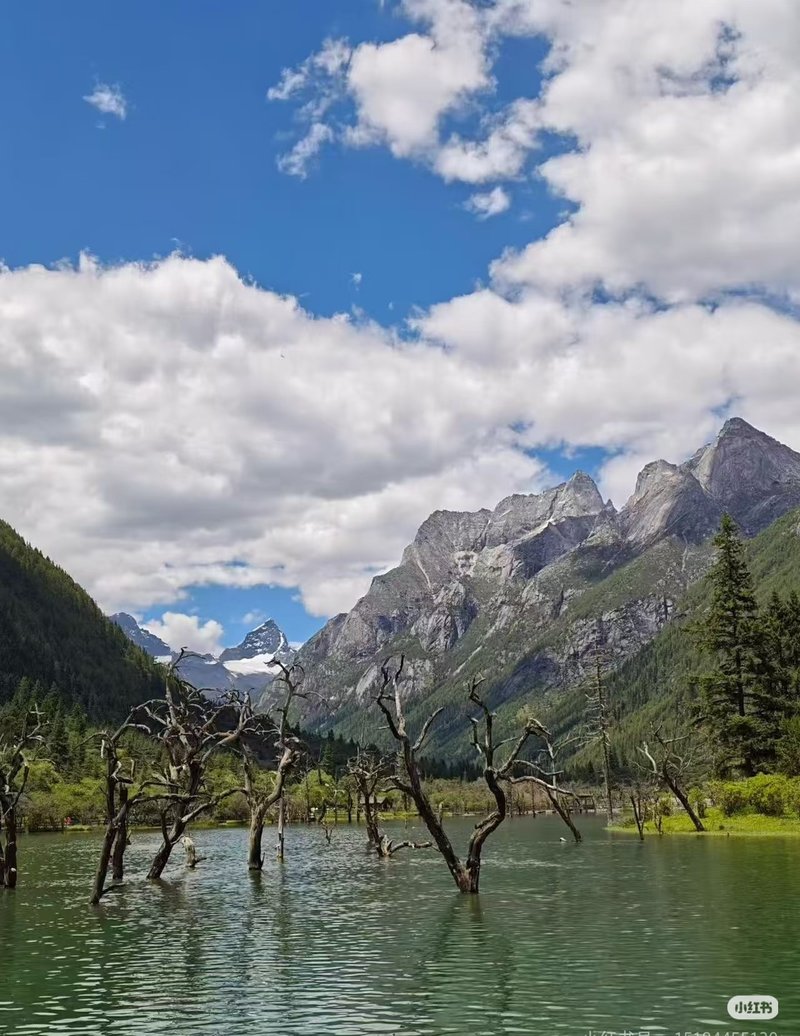 Alpine lake with dead trees and snow-capped peak in background at Mount Siguniang